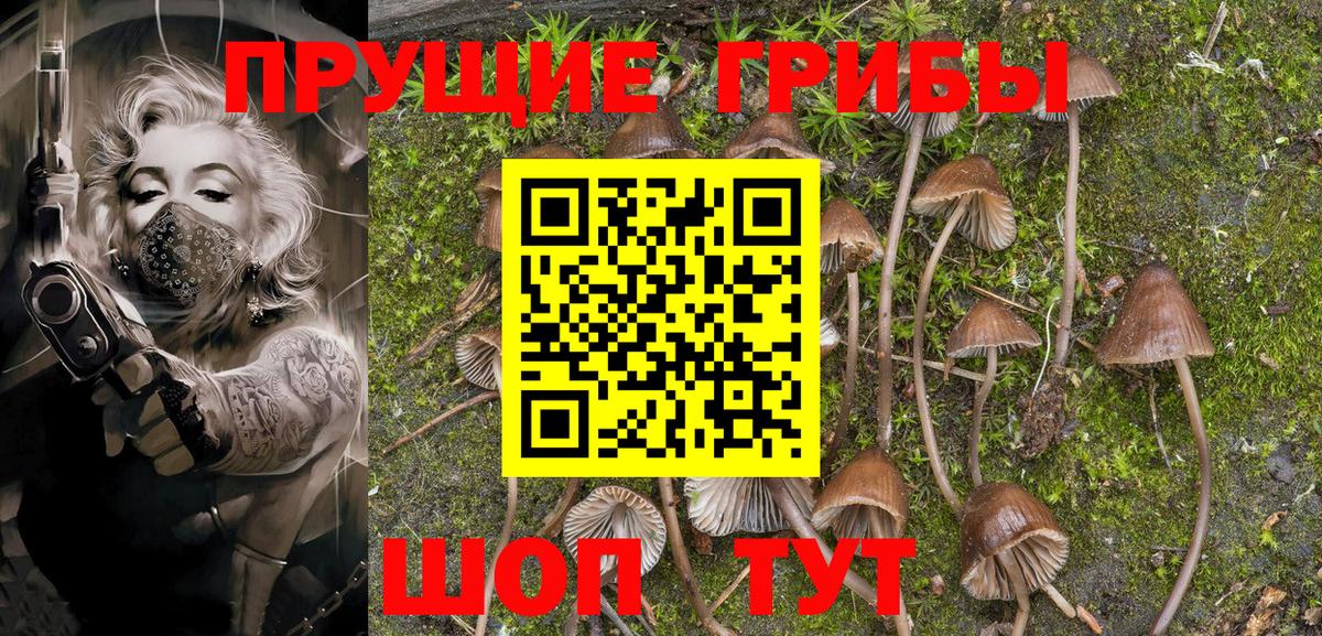 Галлюциногенные грибы Psilocybine cubensis  Вход с VPN  Ирбит 